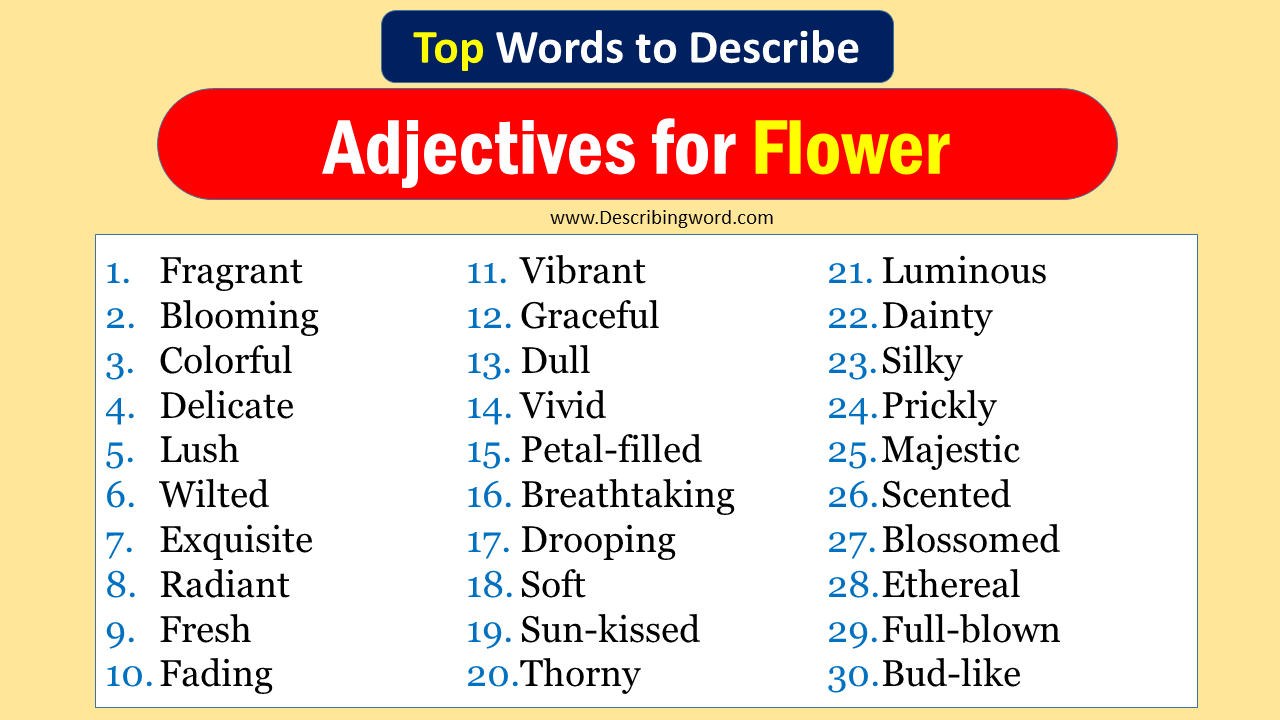 Top 30 Adjectives for Flower (Negative & Positive Words