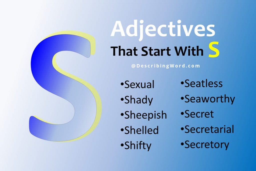 299+ Adjectives That Start With S  DescribingWord.Com