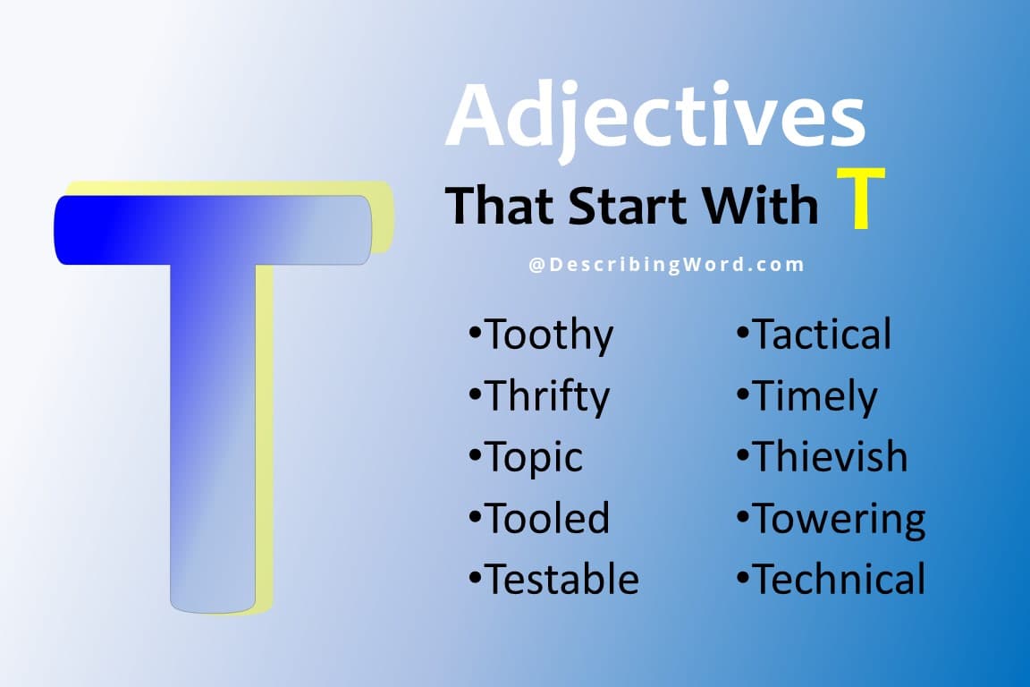 149 Adjectives That Start With T DescribingWord Com