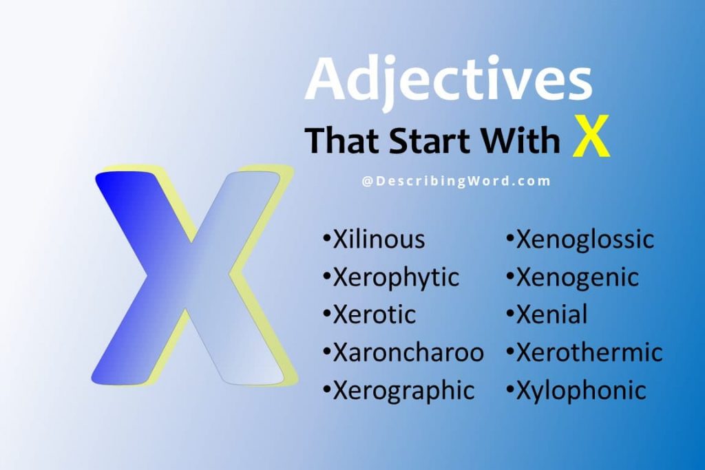 63+ Adjectives That Start With X