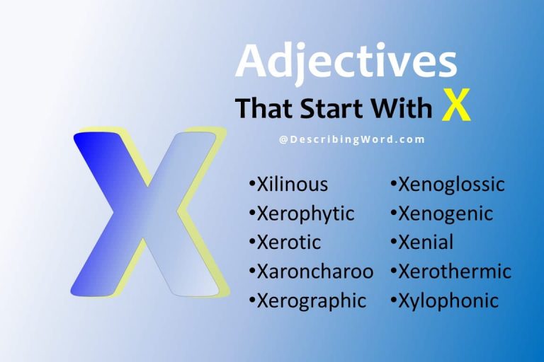 63 Adjectives That Start With X DescribingWord Com