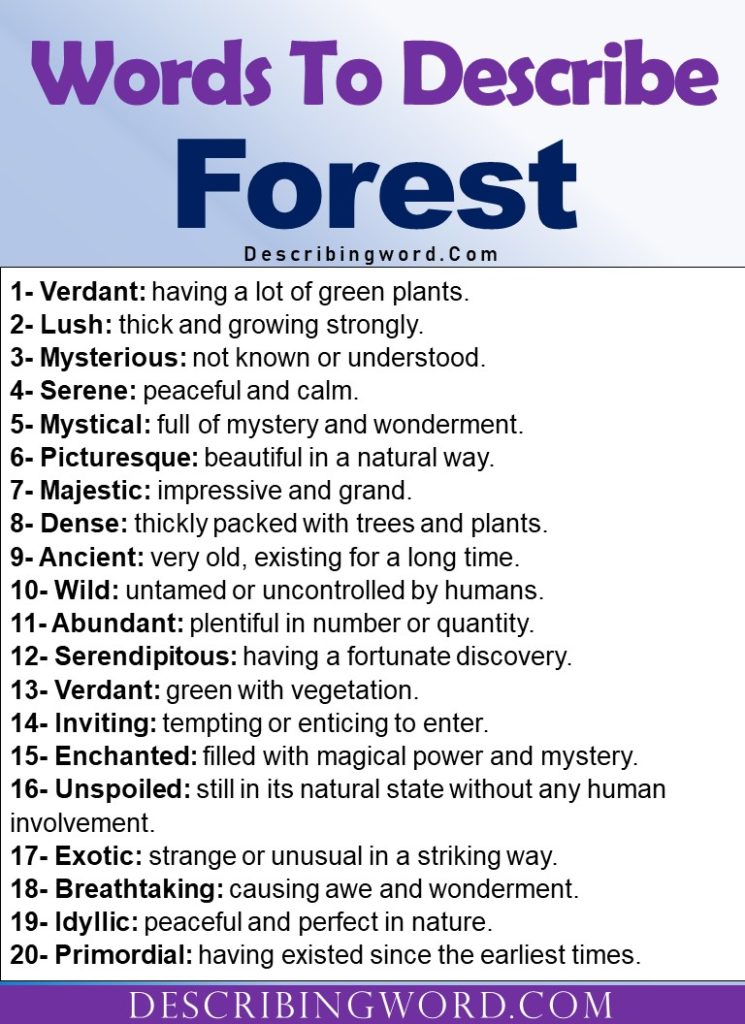 adjectives-for-forest-words-to-describe-a-forest-describingword-com