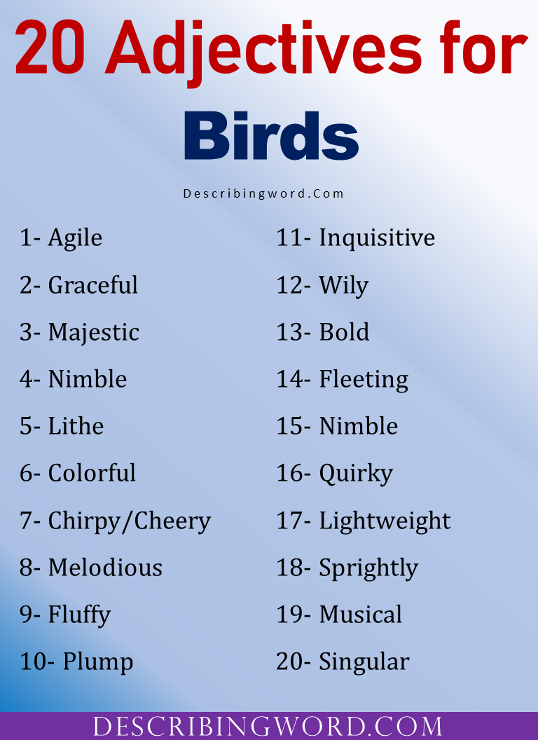 adjectives-for-birds-words-to-describe-birds-describingword-com