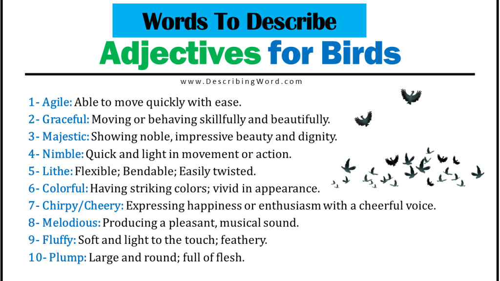 how to describe birds creative writing