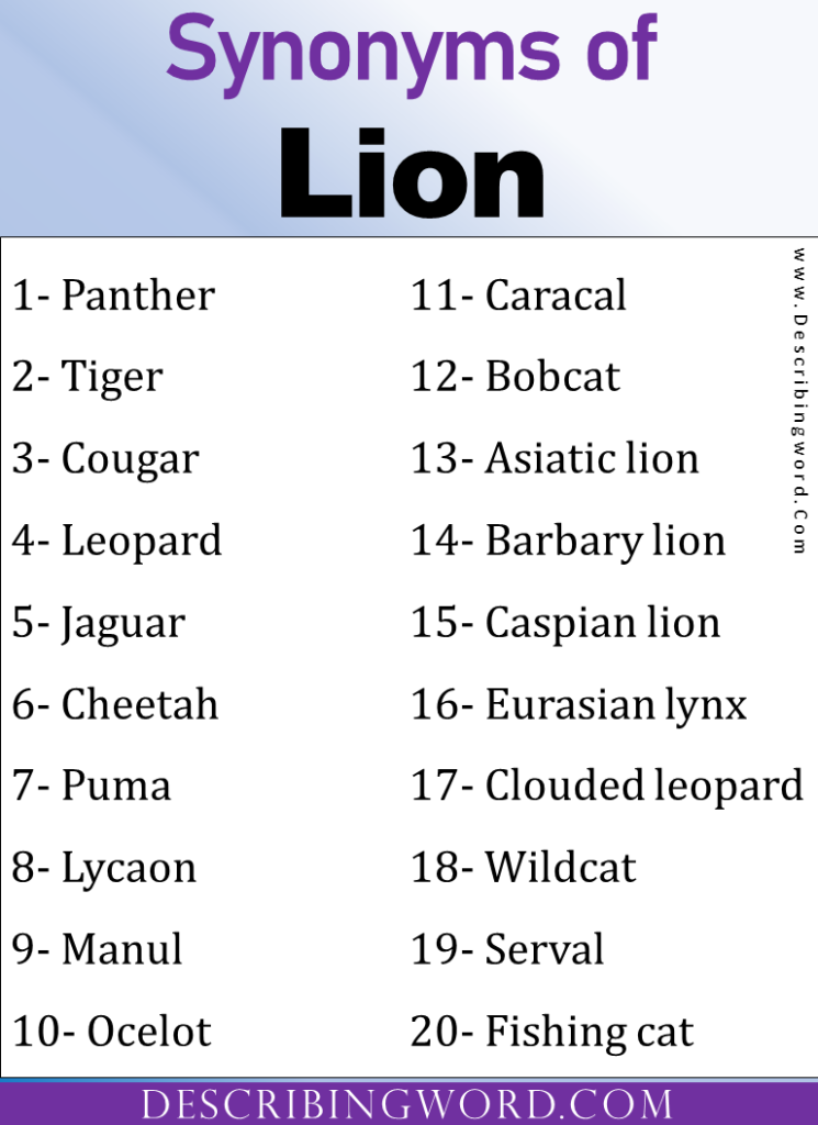 Adjectives for Lion, Words to Describe Lion - DescribingWord.Com