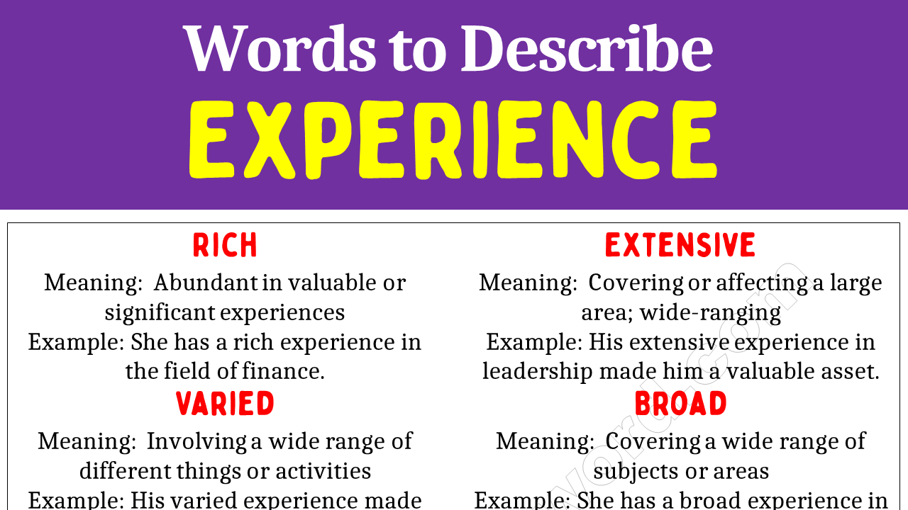 adjectives-for-experience-words-to-describe-experience