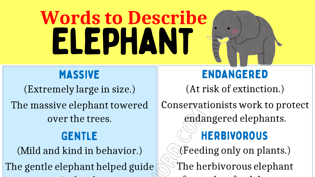 Top 30 Adjectives for Elephant (Negative & Positive Words