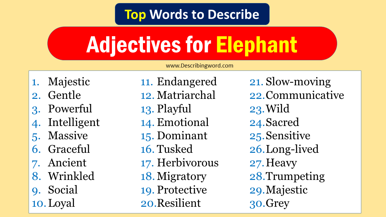 Top 30 Adjectives for Elephant (Negative & Positive Words