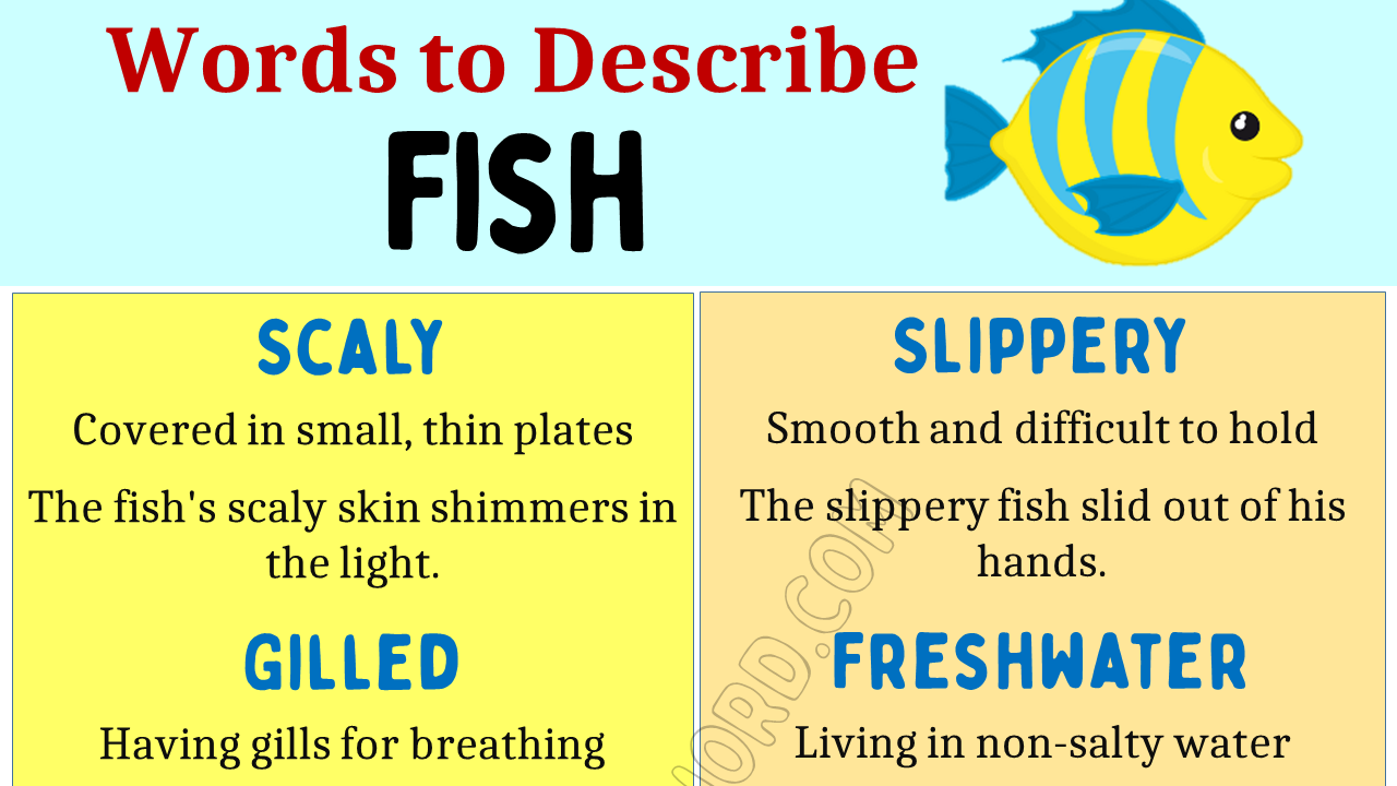 Adjectives for Fish