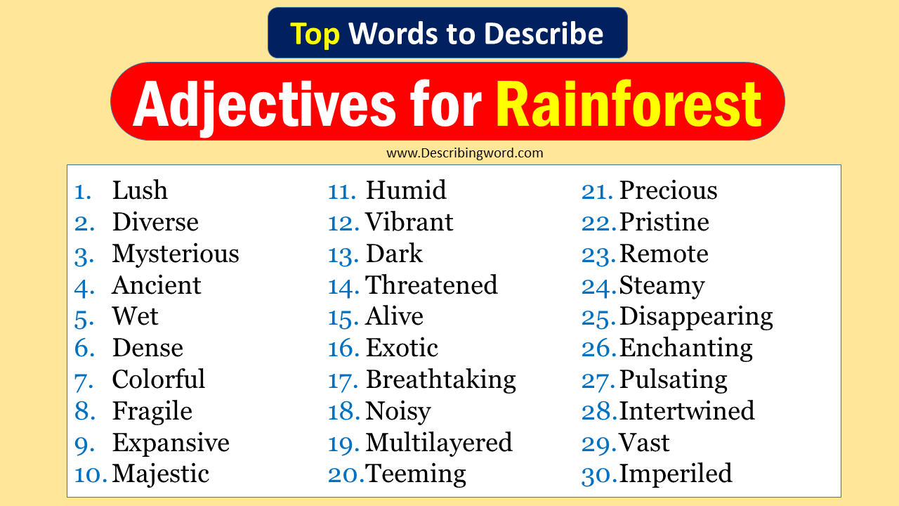 top-30-adjectives-for-rainforest-negative-positive-words