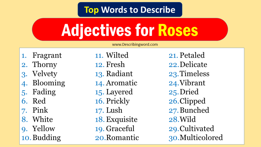 Top 30 Adjectives for Roses (Negative & Positive Words