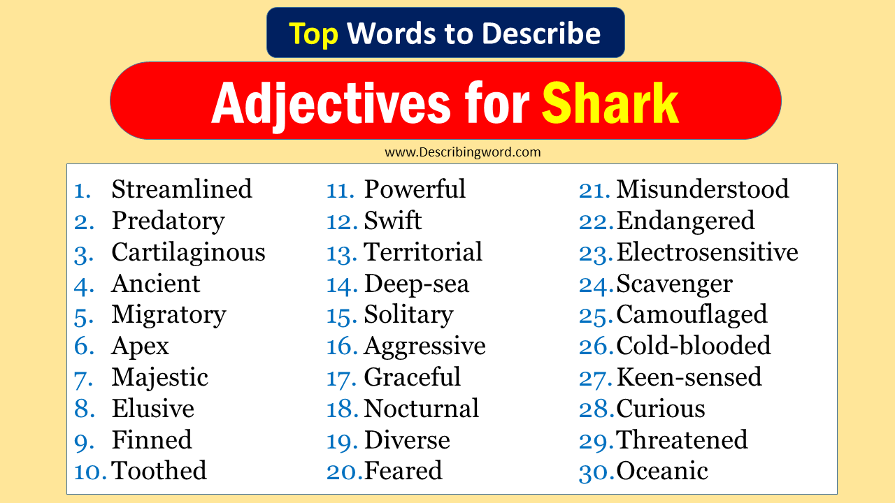 Adjectives for Shark