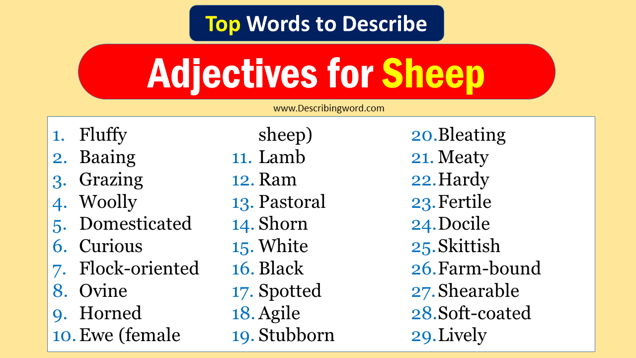 Top 30 Adjectives for Sheep (Negative & Positive Words ...