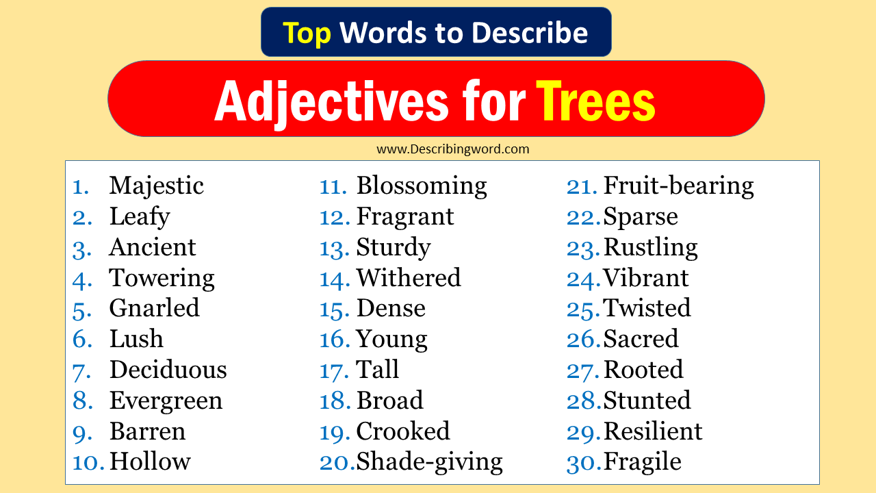Adjectives for Trees