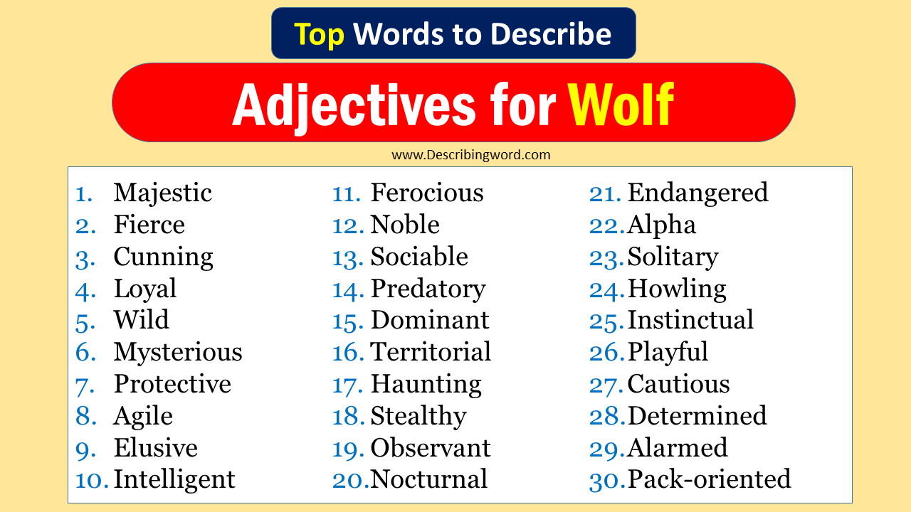 Adjectives for Wolf