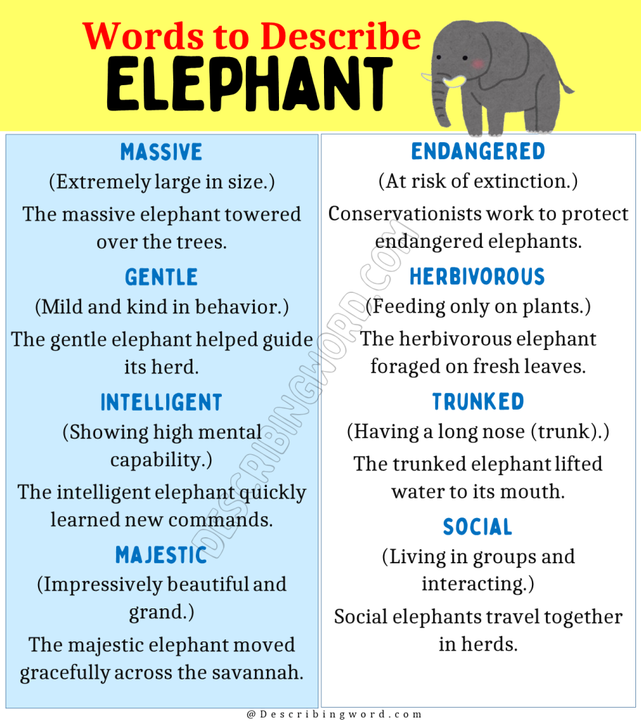 Top 30 Adjectives for Elephant (Negative & Positive Words