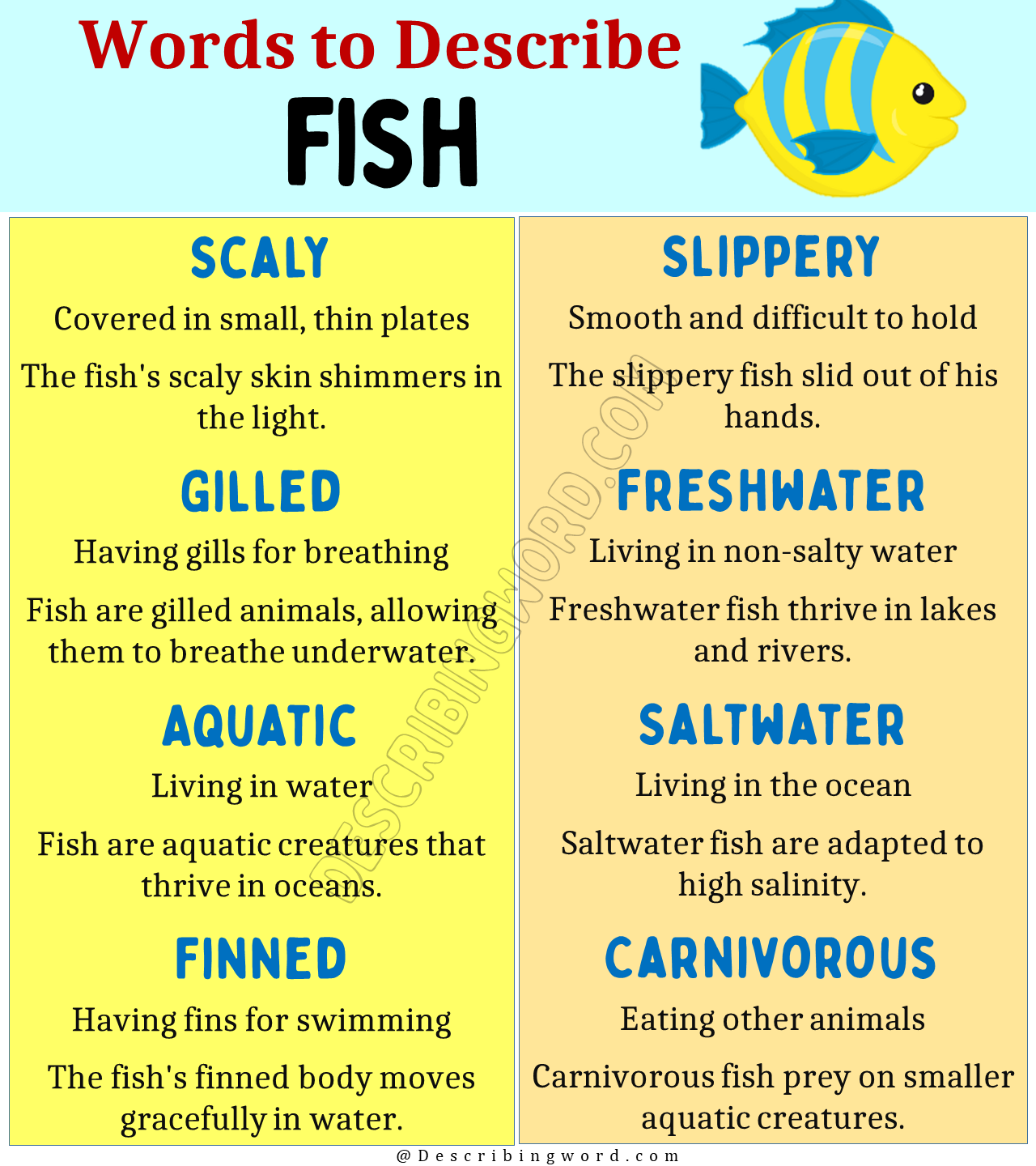 Words to Describe Fish